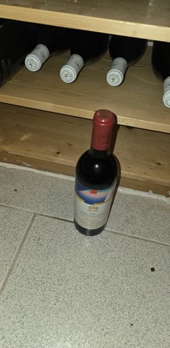 Château mouton baronne - château,