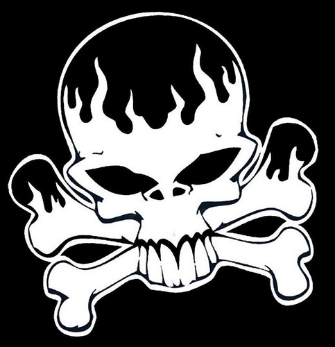 Flaming skull sticker - skull, 30