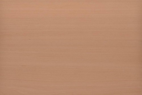 Roterle red alder - , korpus