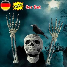 Skelett-Teile Knochen