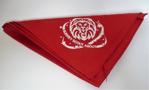 Surrey scoutabout schal - schal, /