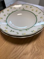 2 Stück(!) Pastateller (selten!) Hutschenreuther Medley Summerdream-Dekor Rose