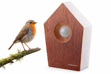 Vogelgesang box mit - vogelgesang,