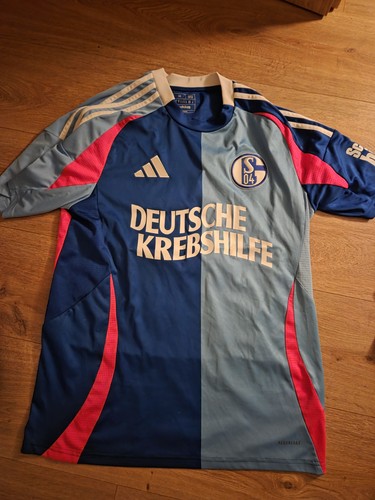 Schalke ausweich - 04,