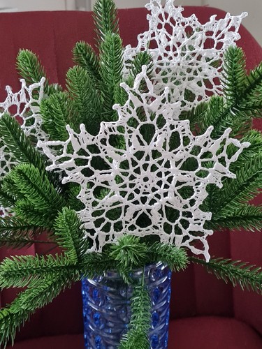 Weihnachtsstern stk - weihnachtsstern,1,