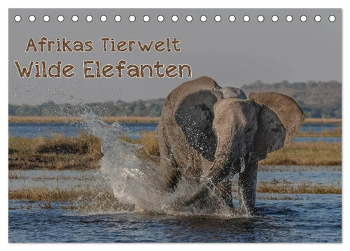 Afrikas tierwelt wilde - afrikas,