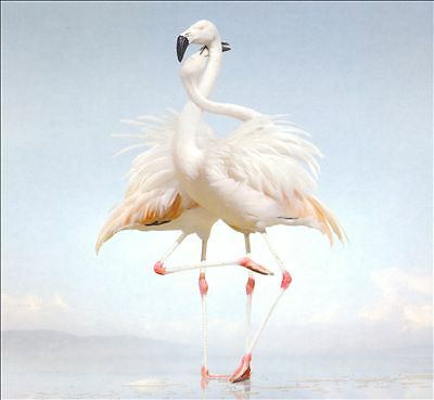 Rustie green language - 'green, new