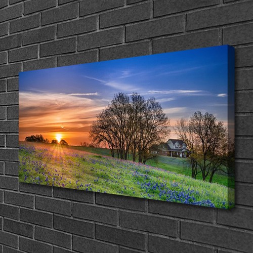 Leinwand bilder 100x50 - leinwand-bilder,