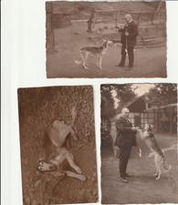 3, Fotos Mann,Hund und