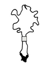 Lalique schöne Aréthuse