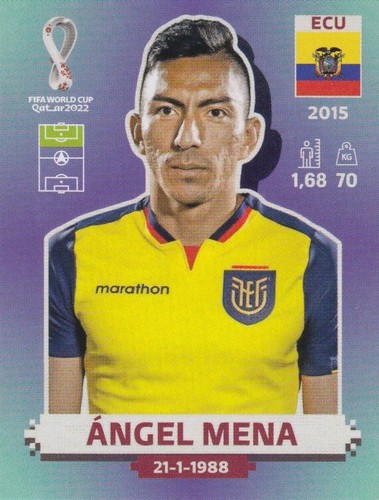 Panini sticker fußball - fußball, wm