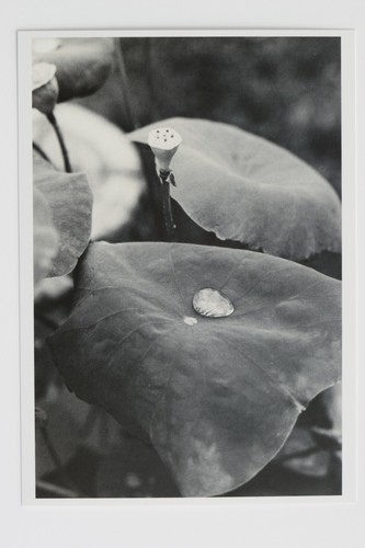 Wolfgang tillmans nanbei - wolfgang, "nanbei
