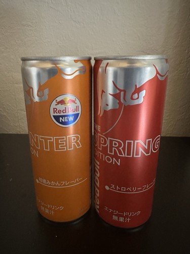 Red bull japan winter spring - winter,