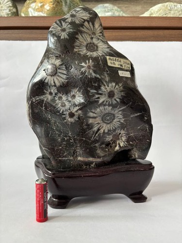 Suiseki bonseki bonsai - suiseki,