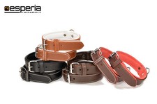 Hundehalsband Halsband Hund