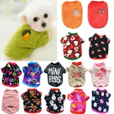 Haustier Hund Winter Kleidung