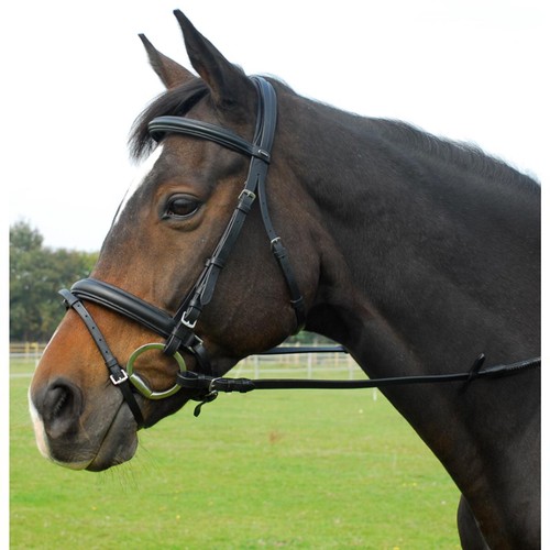 Sts heritage leder - sts,