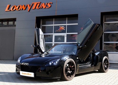 Lsd lambo doors flügeltüren - doors,