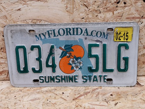 Nummernschild usa florida - usa,