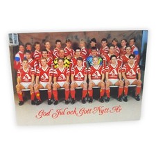 Skövde Aik Mannschaftsfoto