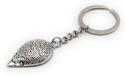 Igel stachel tier - igel,
