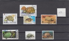 Schildkröten (53) Reptilien Lot