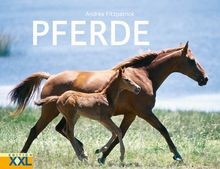 Pferde von andrea fitzpatrick - von,