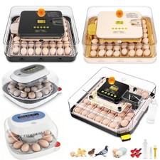 Inkubator Brutkasten