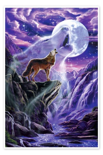 Poster heulender wolf - -, robin