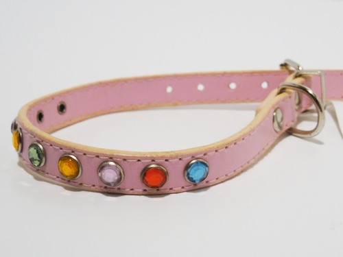 Hundehalsband mit bunten - hundehalsband,