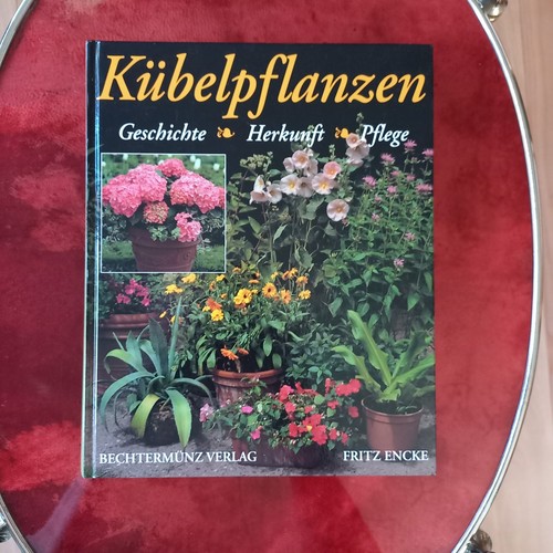 Kübelpflanzen fritz encke - kÜbelpflanzen,