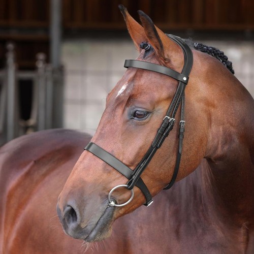 Shires velociti lusso - velociti,