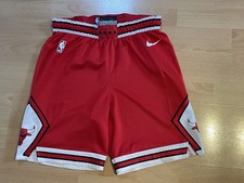 Chicago Bulls Basketball Nike