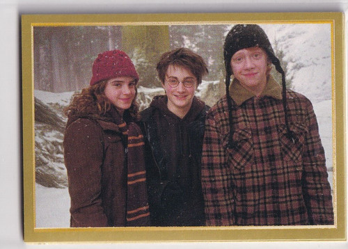 Panini harry potter anthology - harry,