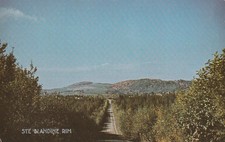 Postkarten - Postkarte - Kanada - Quebec - Sainte Blandine - unversandt -