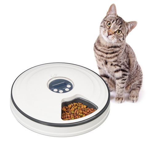 Futterautomat katze