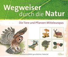 Wegweiser durch die natur - wegweiser,