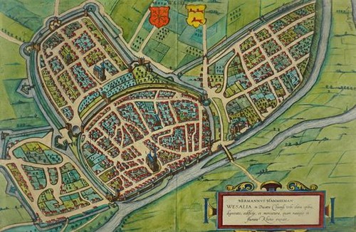 Wesel vogelschau braun - wesel, &