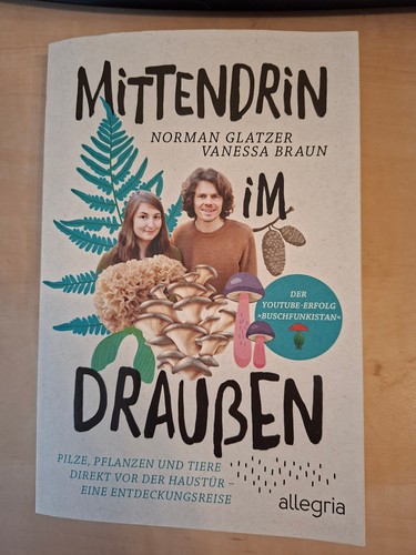 Allegria mittendrin - allegria, im