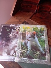 2 x Briefpapier mit Katzenmotiven 2x10 Blatt und 2x10 Umschläge