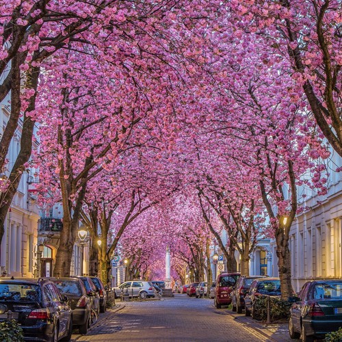 Gutschein kurzurlaub bonn - gutschein,