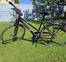 Pegasus Damenfahrrad Schwarz