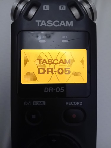 Tascam linear pcm - linear,