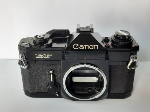 Canon - , ef