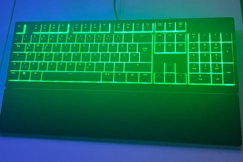 Razer ornata rgb - ornata,