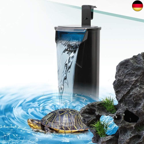 Senzeal schildkröte niedriger - schildkröte,