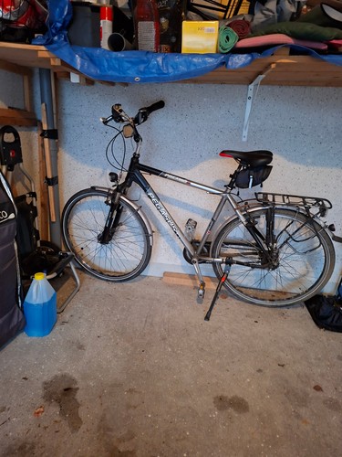 Pegasus fahrrad zoll herren - 28,