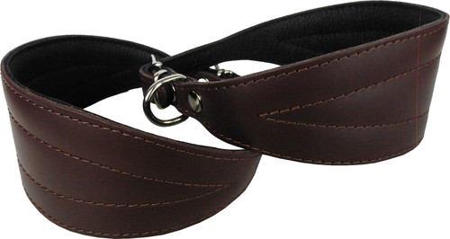 Windhund greyhound galgos - windhund,