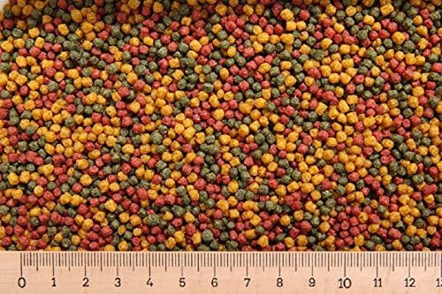 Teichfischfutter pellets bunt - teichfischfutter,