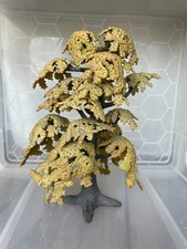 Schleich 30651 - Eiche klein ca. 25 cm - Baum / Natur / Wald / Schleichwelt -